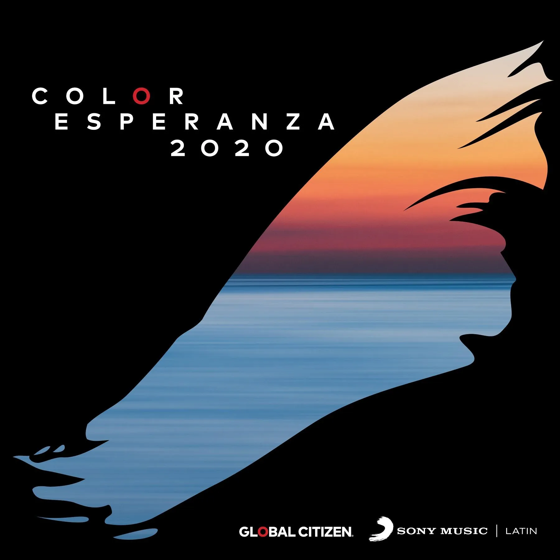 COLOR ESPERANZA BUSCA LA UNIÓN Y LA PAZ – Revista Victoria Íconos de Éxito